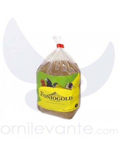 Semilla de Fonio Padi Fonio Gold 1 Kg