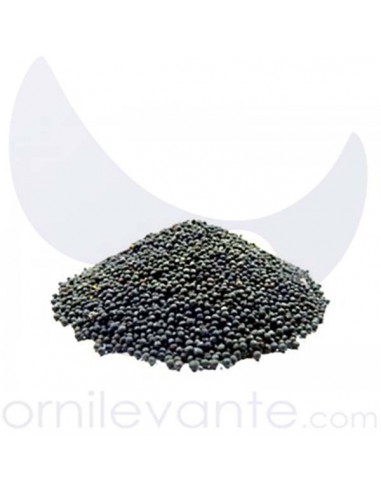 Semilla de Nabina Negra