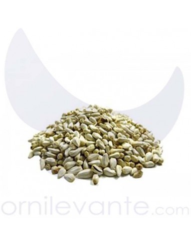 SEMILLA CARTAMO- ALAZOR SEMILLA CARTAMO- ALAZOR