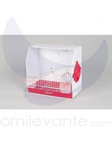 Jaula Curiosa De Exposicion