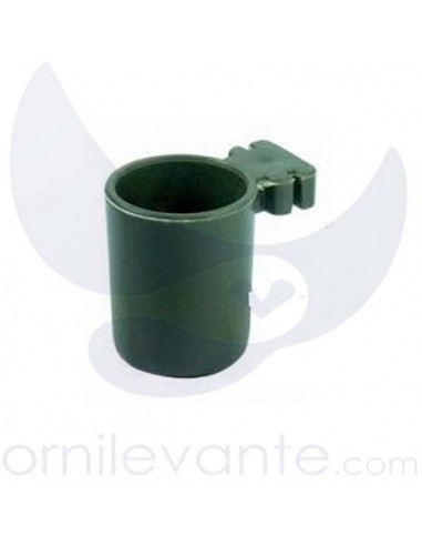 Portasal Silvestre Verde