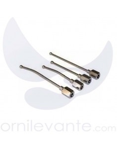 Aguja Empauzar Pájaros...