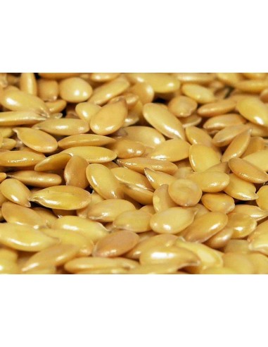 SEMILLA DE LINAZA DORADA O AMARILLA