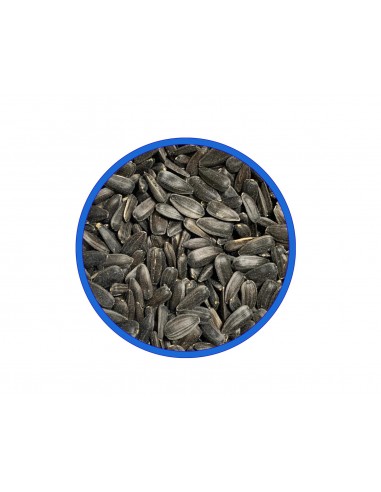 Pipa Negra 1KG Pipa Negra 1KG