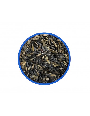 PIPA GIRASOL MICRO 750GR PIPA GIRASOL MICRO 750GR