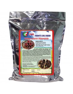 LOR UNIFEED CRIA 5KG