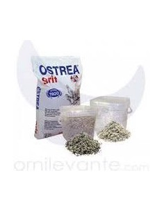 Grit Con Carbón 4 Kg. OSTREA